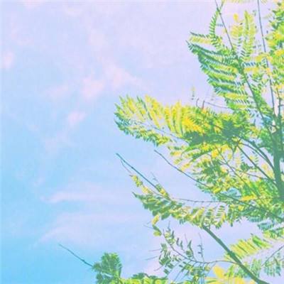 萌骑无双小米游戏下载